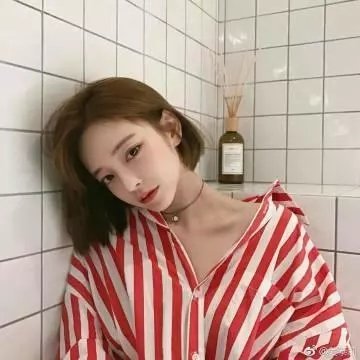 罪网 在线观看